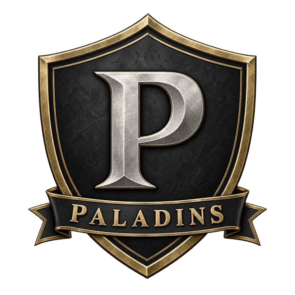 Paladins logo
